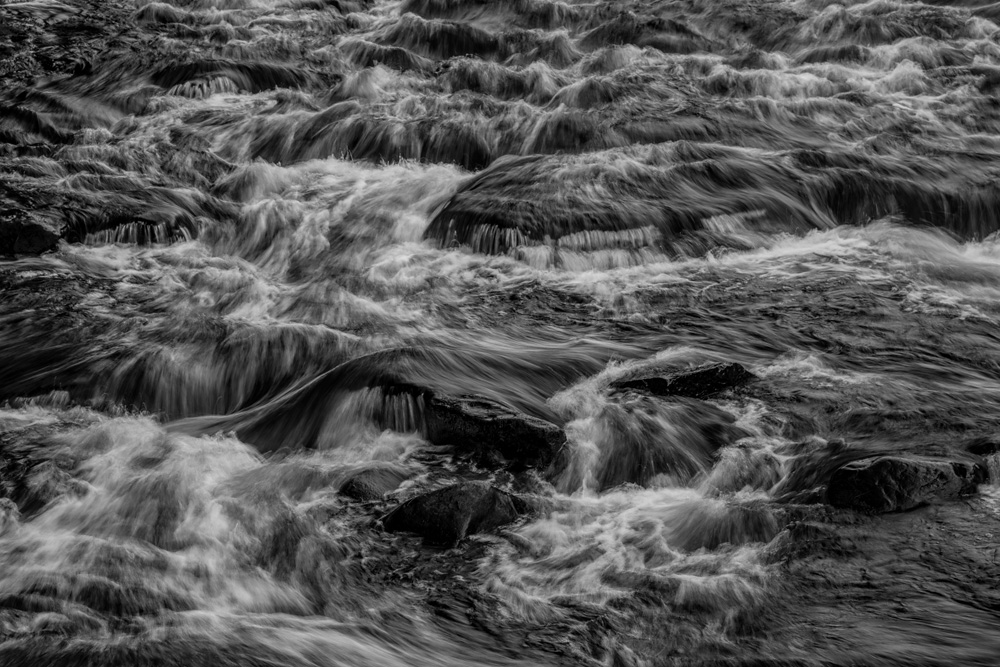 _D816007_BW_dw.jpg