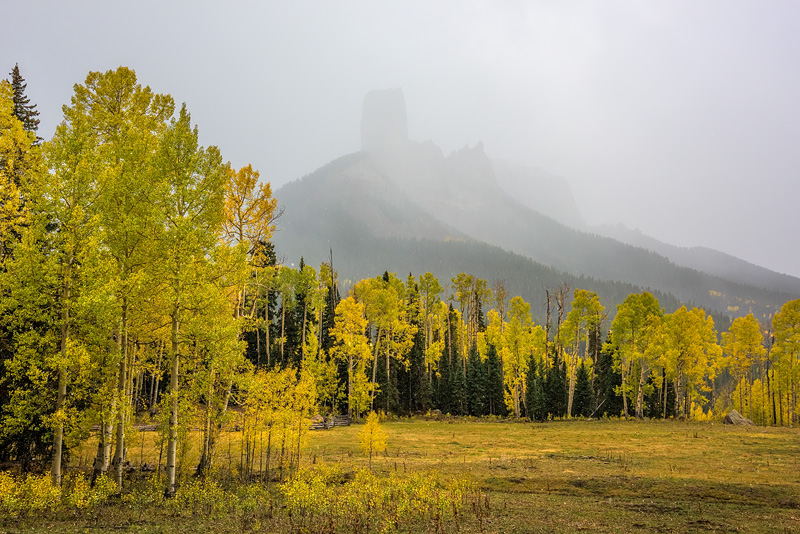 _D816080_dw.jpg