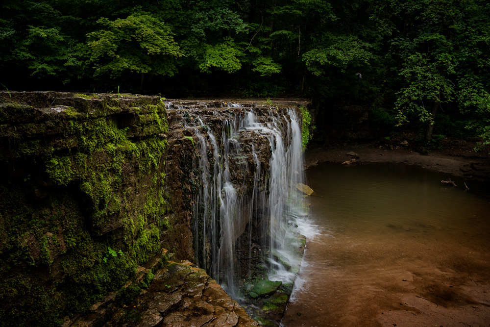 _D816605_dw.jpg