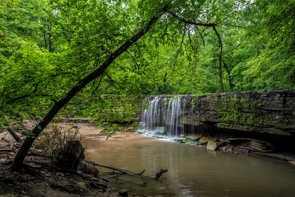 _D816704_dw.jpg