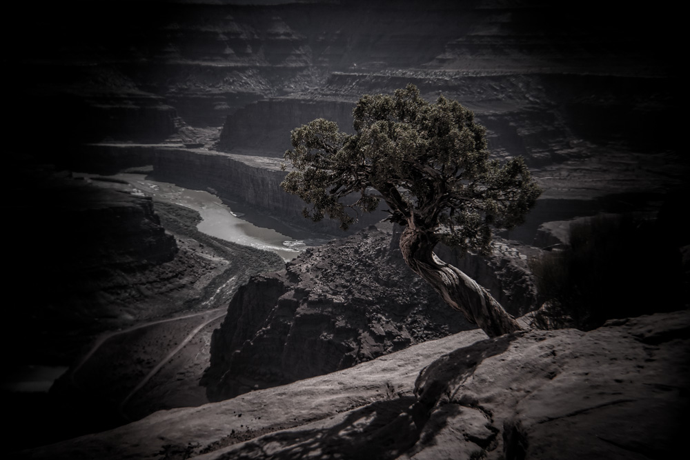 _D818077_dw.jpg