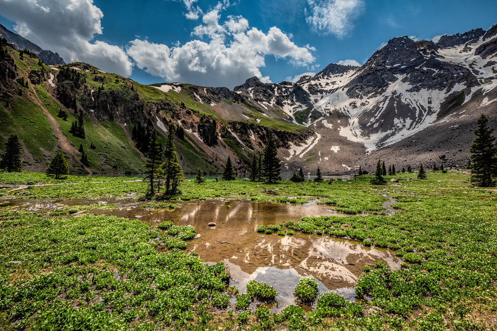 _D818534_d1w.jpg
