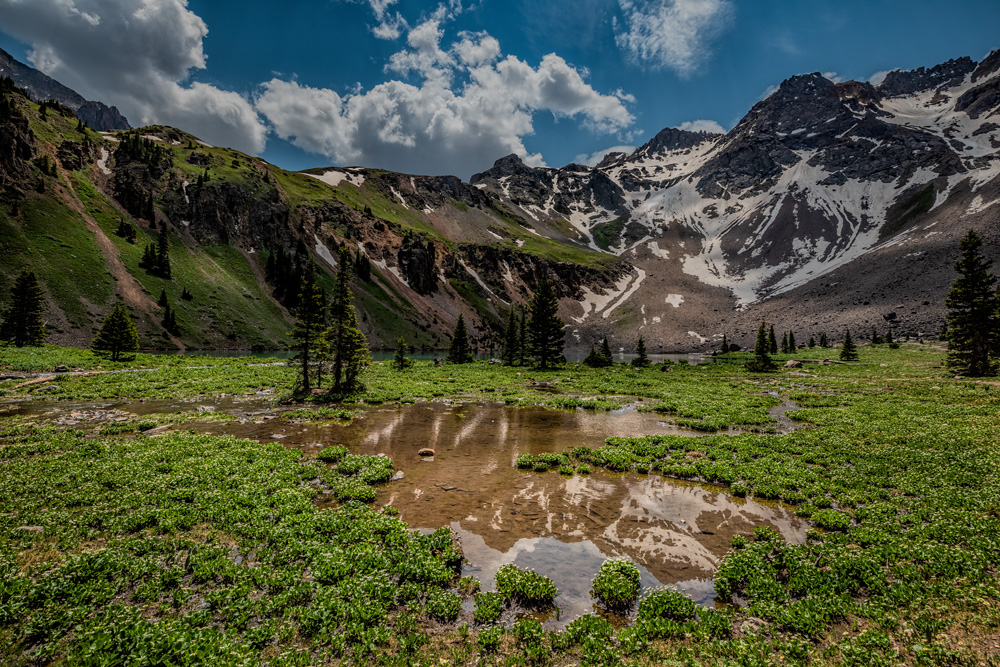 _D818534_dw.jpg