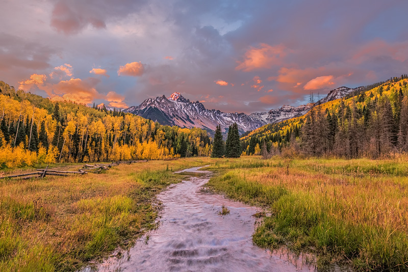 _D818857_dw.jpg