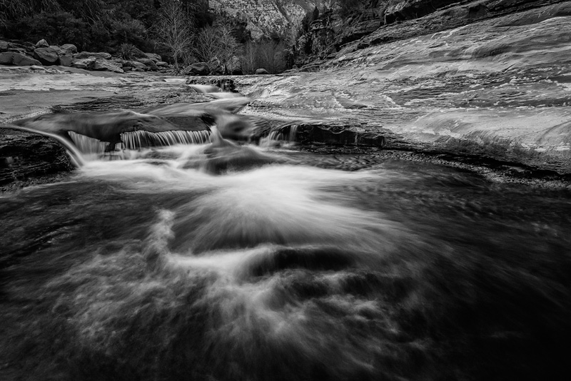 _D819946_BW_dw.jpg
