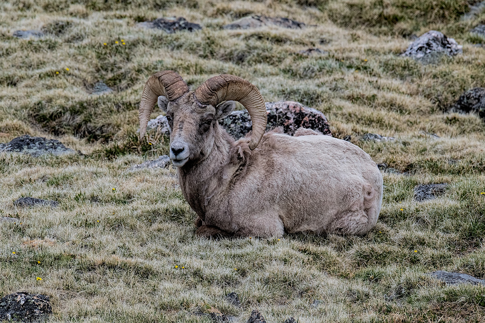 _D850023_dw.jpg