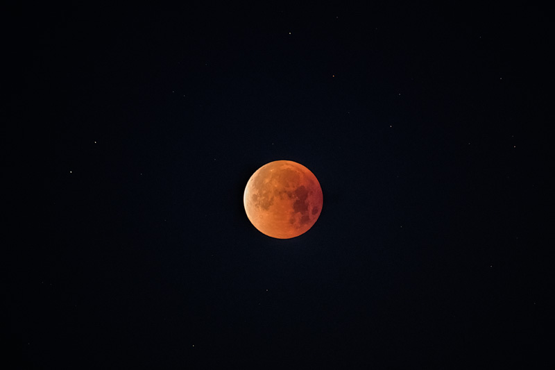 _D851094_dw.jpg