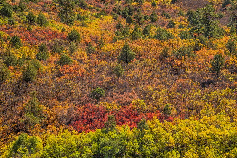 _D851104_dw.jpg