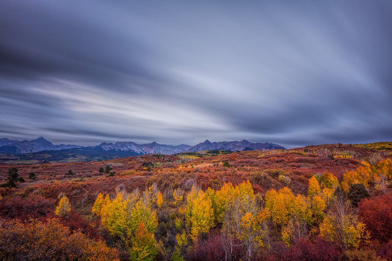 _D851361_dw.jpg