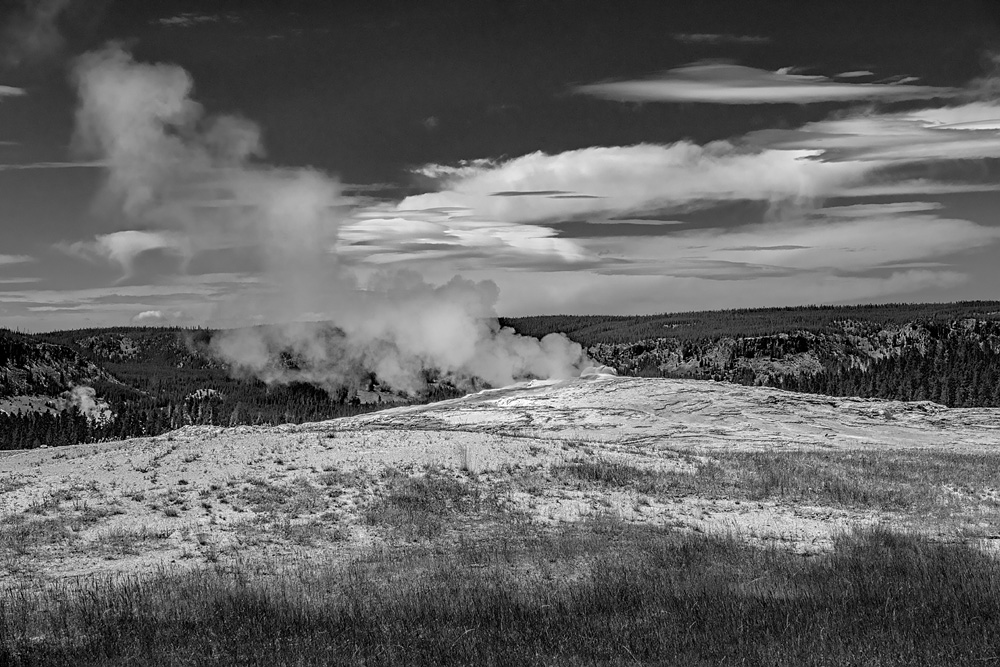 _D851522_BW_dw.jpg