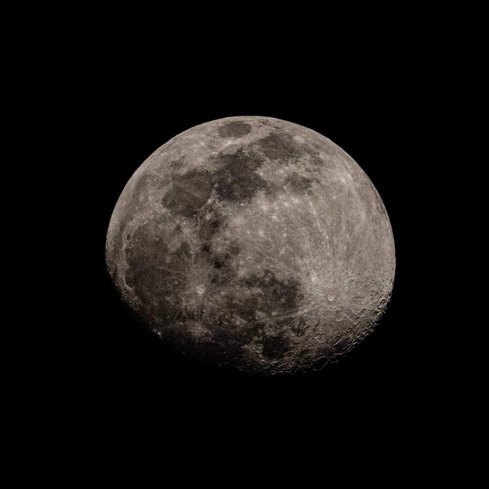 _D851891_dw.jpg