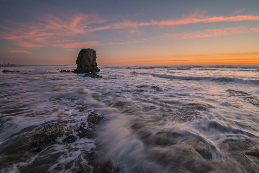 _D853001_dw.jpg
