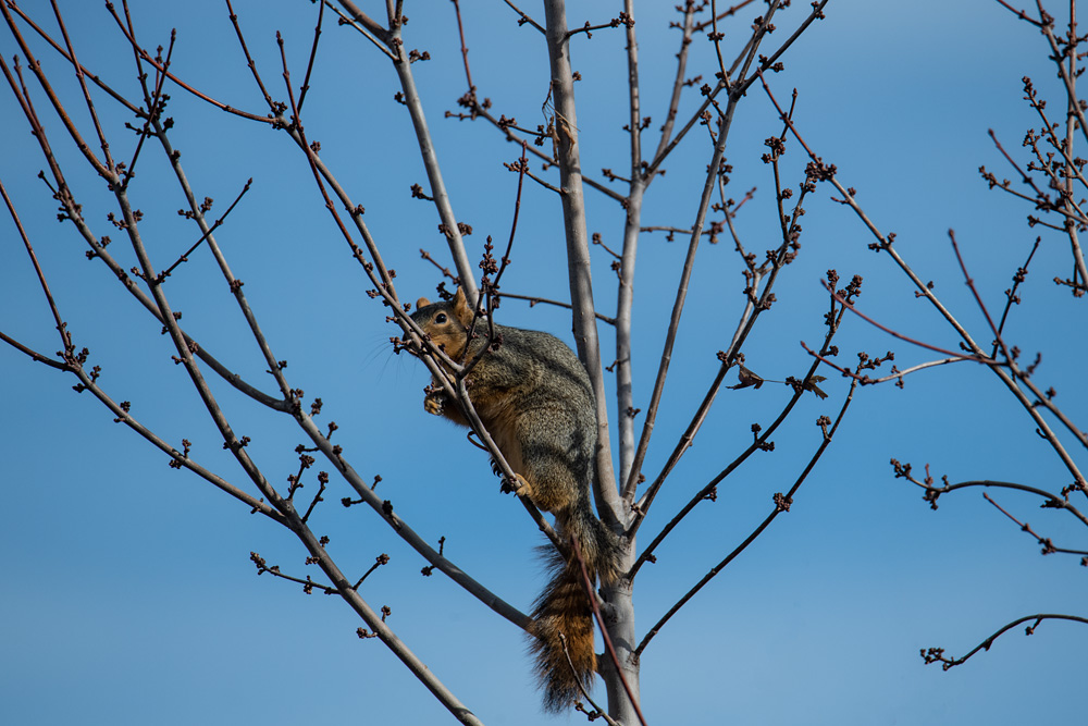 _D853284_dw.jpg