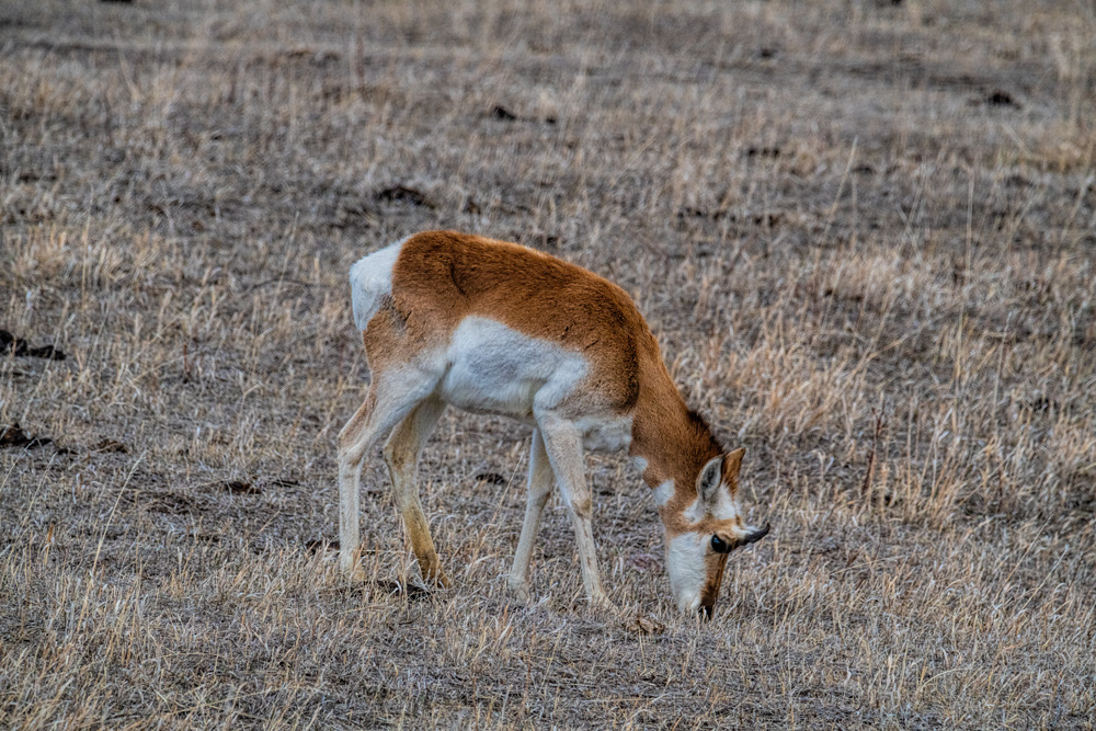 _D853357_dw.jpg