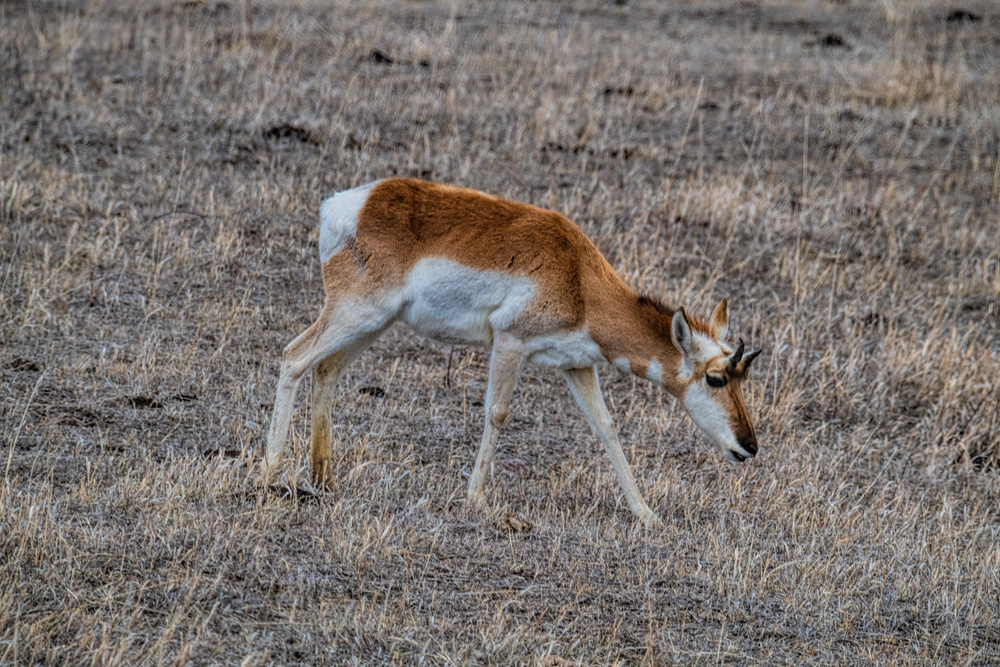 _D853358_dw.jpg