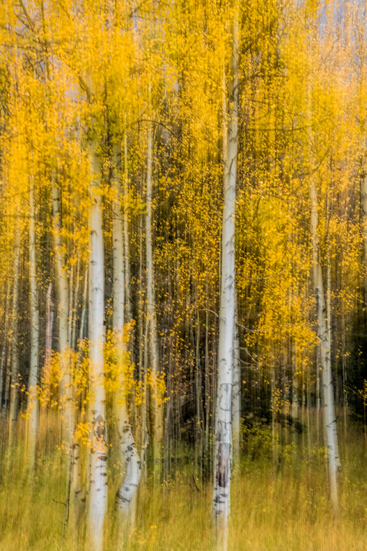 _D853823_dw.jpg