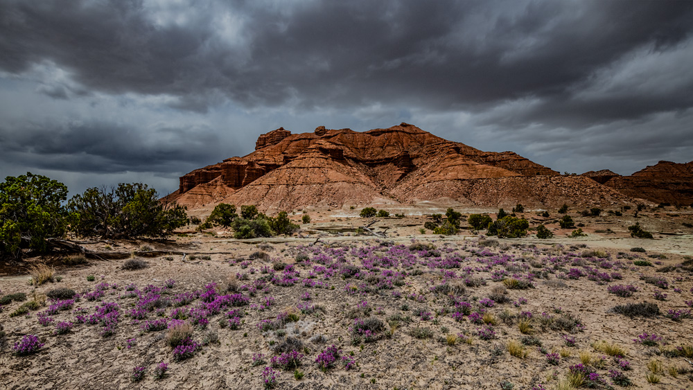 _D854155_16x9_dw.jpg