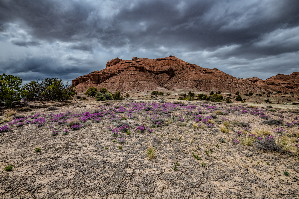 _D854160_dw.jpg