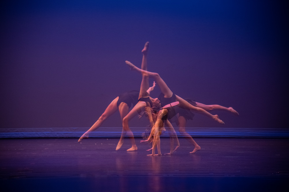_D854170_dw.jpg