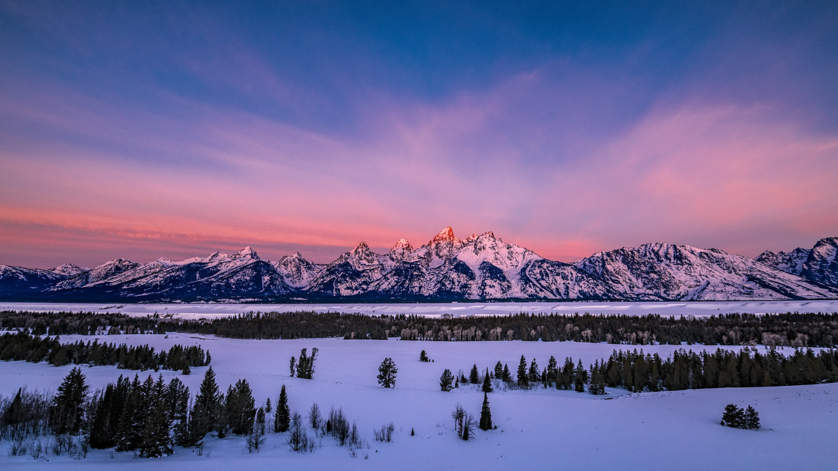 _D854280_16x9_dw.jpg