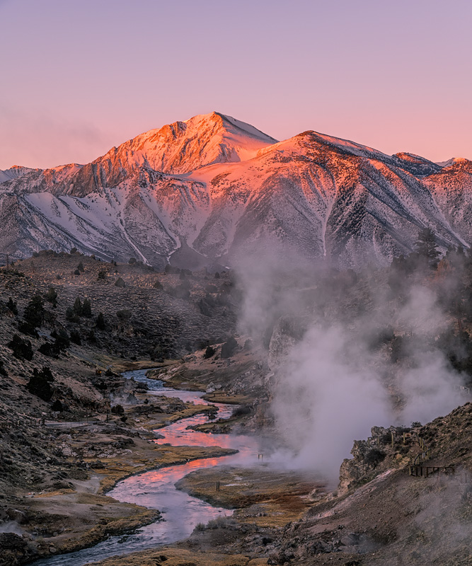 _D854492_dw.jpg