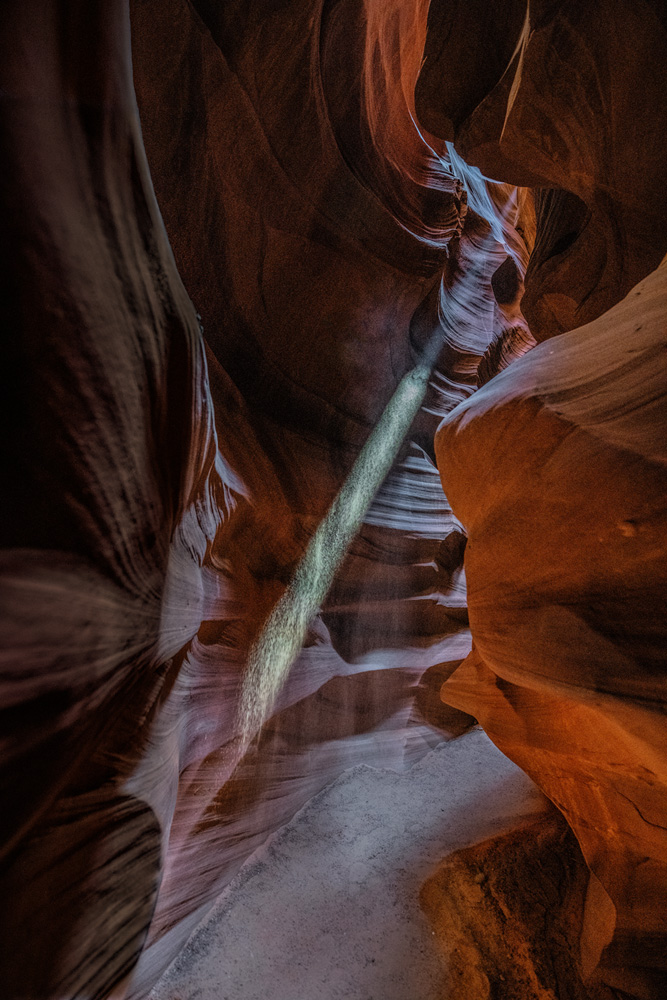 _D854563_dw.jpg