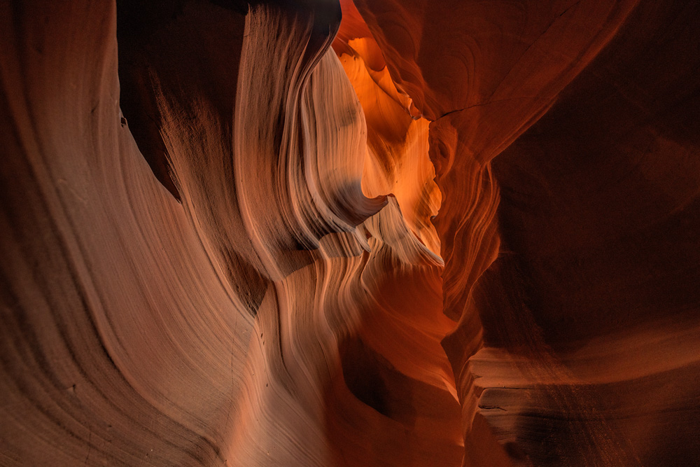 _D854649_dw.jpg