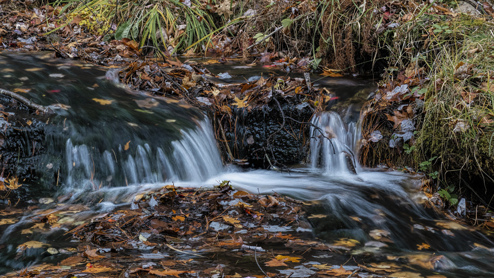 _D854958_dw.jpg