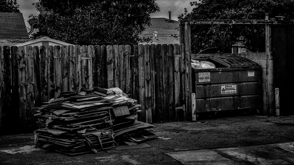 _D855152_BW_dw.jpg