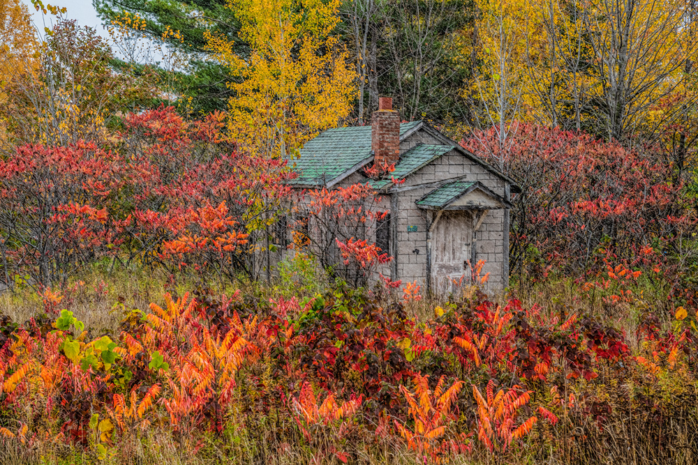 _D855167_dw.jpg