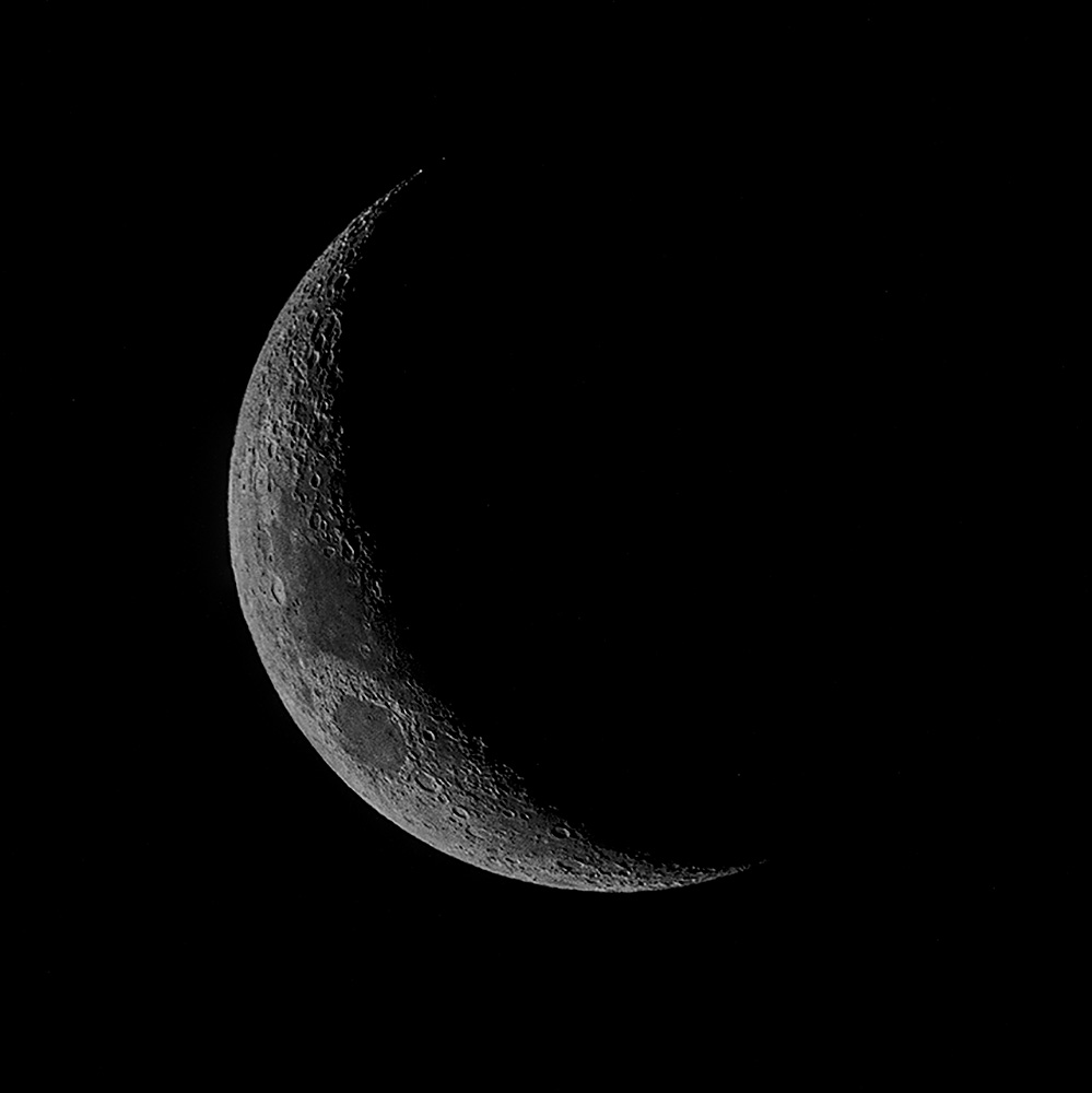 _D855587_dw.jpg