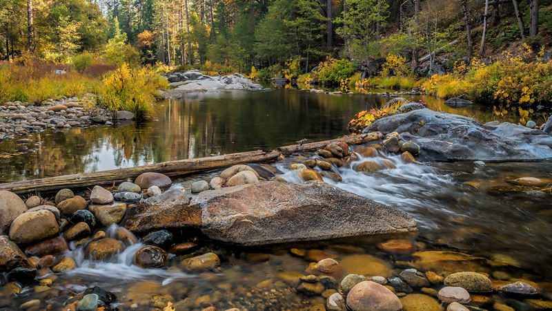 _D855621_16x9_dw.jpg