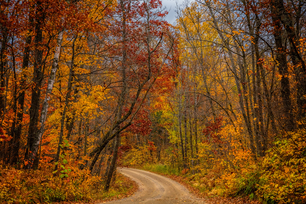 _D855840_dw.jpg