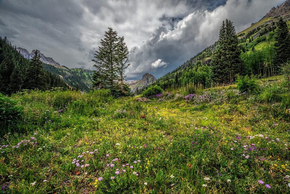 _D855847_dw.jpg