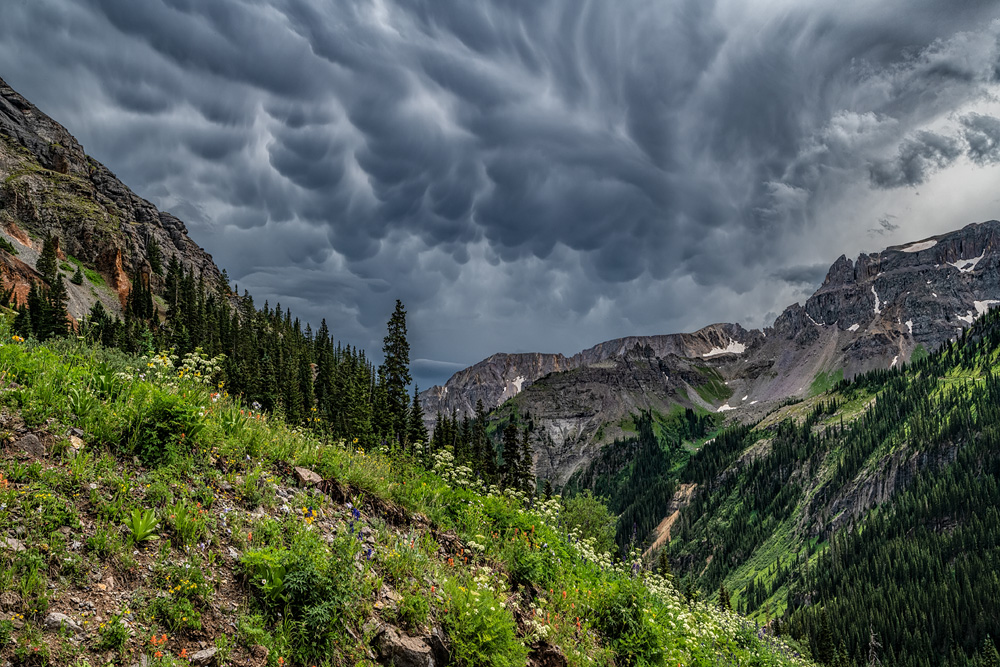 _D855943_dw.jpg