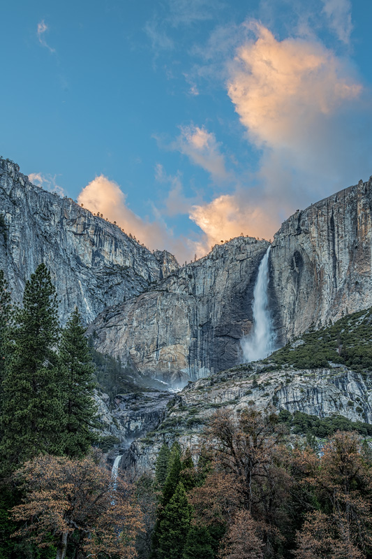 _D856037_dw.jpg
