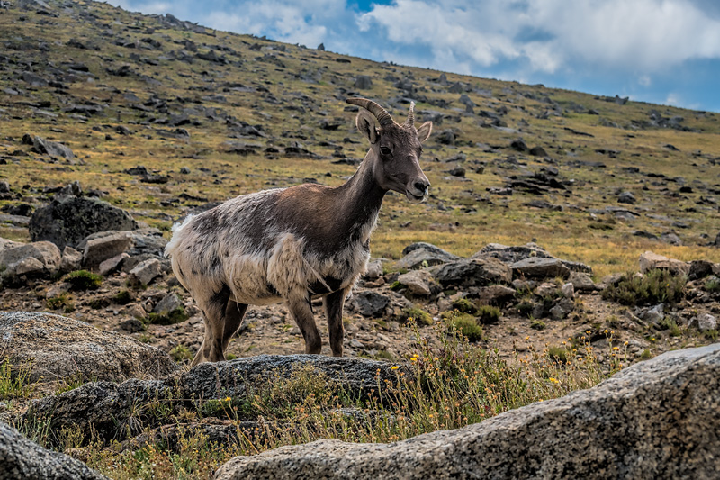 _D856425_dw.jpg
