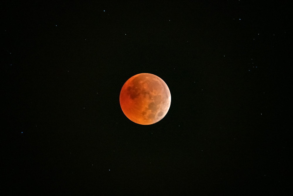 _D856762_dw.jpg