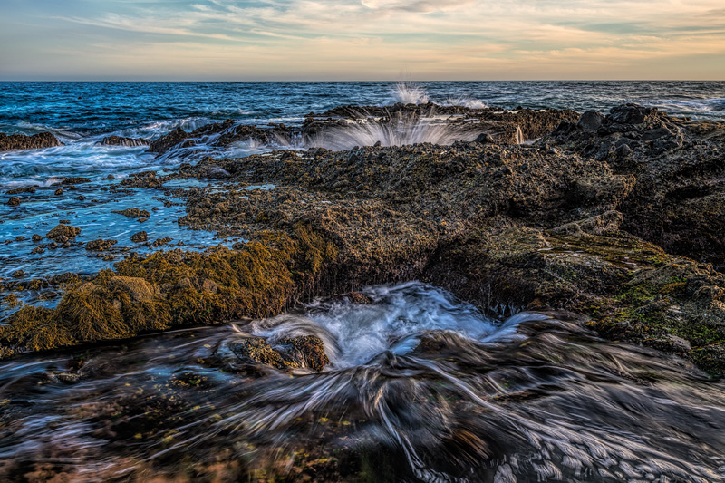 _D857040_d1w.jpg
