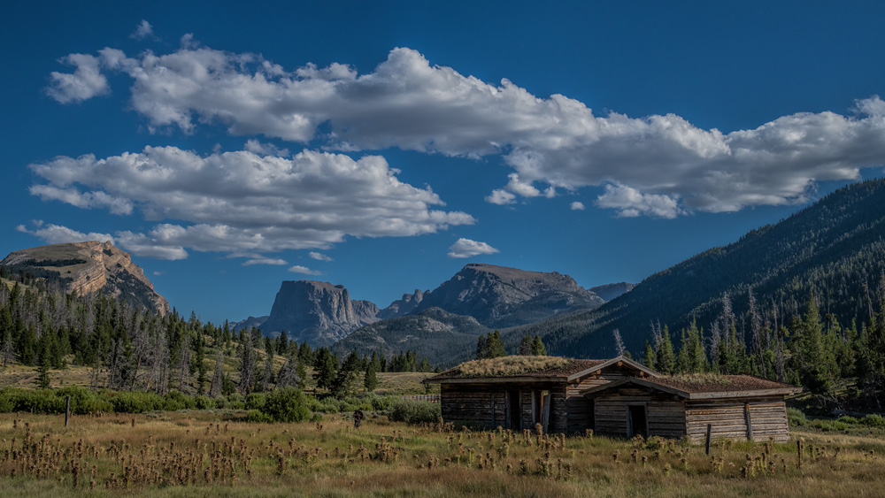 _D857108_16x9_dw.jpg