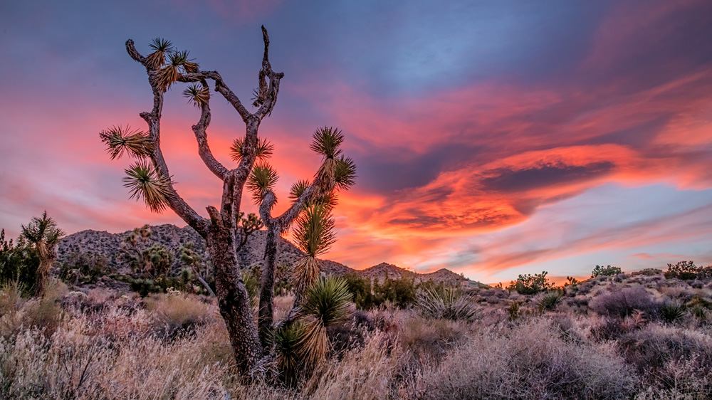 _D857391_16x9_dw.jpg