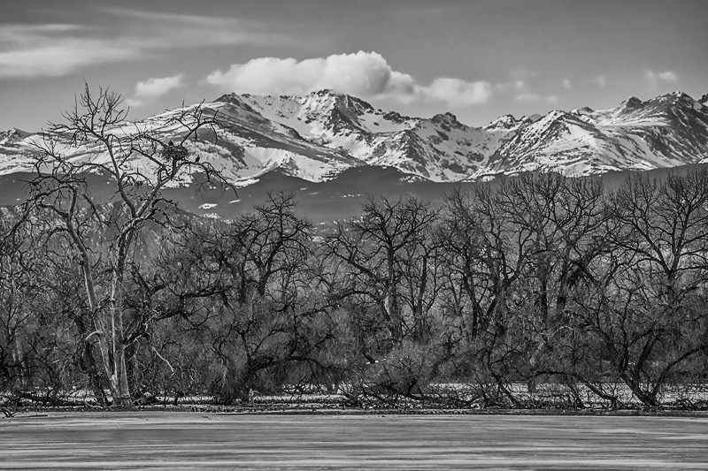 _D857632_BW_dw.jpg