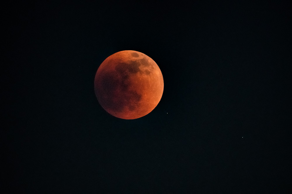_D857861_dw.jpg