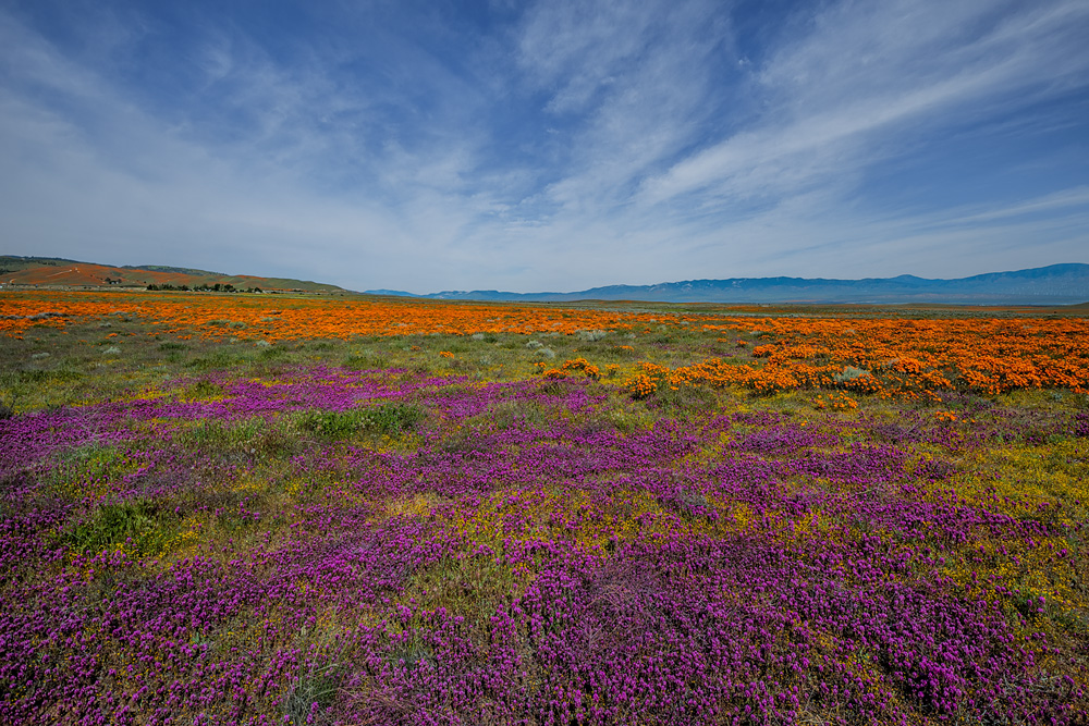 _D858178_dw.jpg