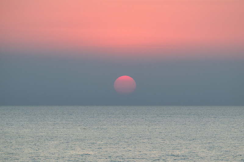 _D858356_dw.jpg