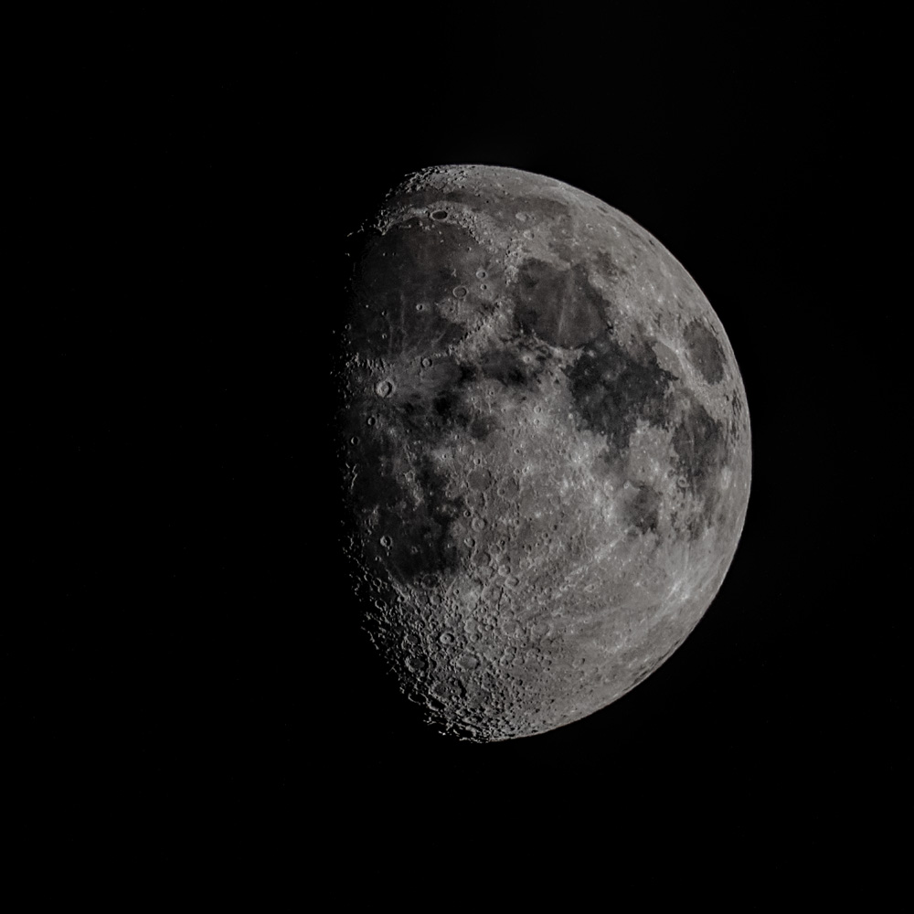 _D858550_dw.jpg