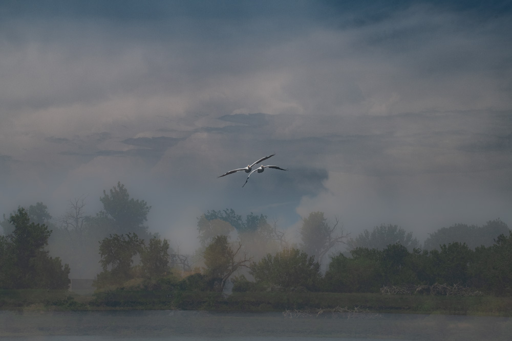 _D858743_dw.jpg