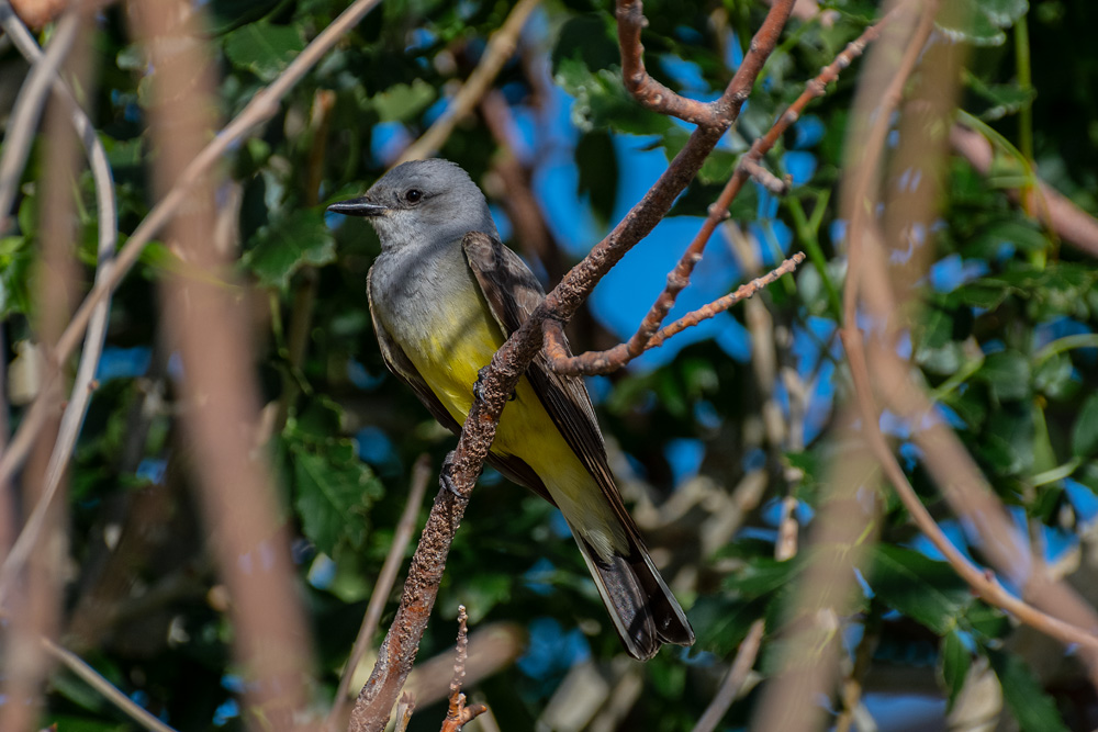 _D858915_dw.jpg