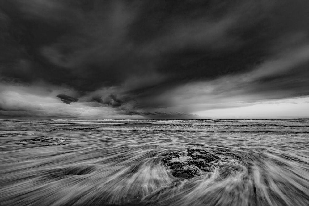 _D859103_BW_dw.jpg