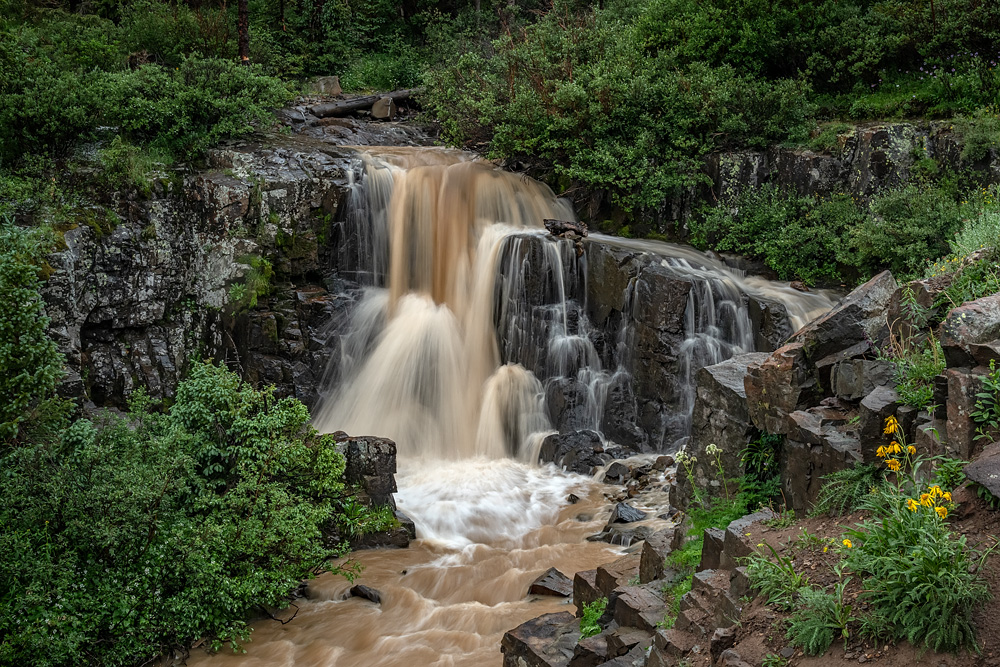 _D859679_dw.jpg